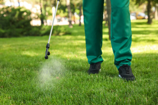 Best Local Pest Control Services  in Lebanon Junction, KY